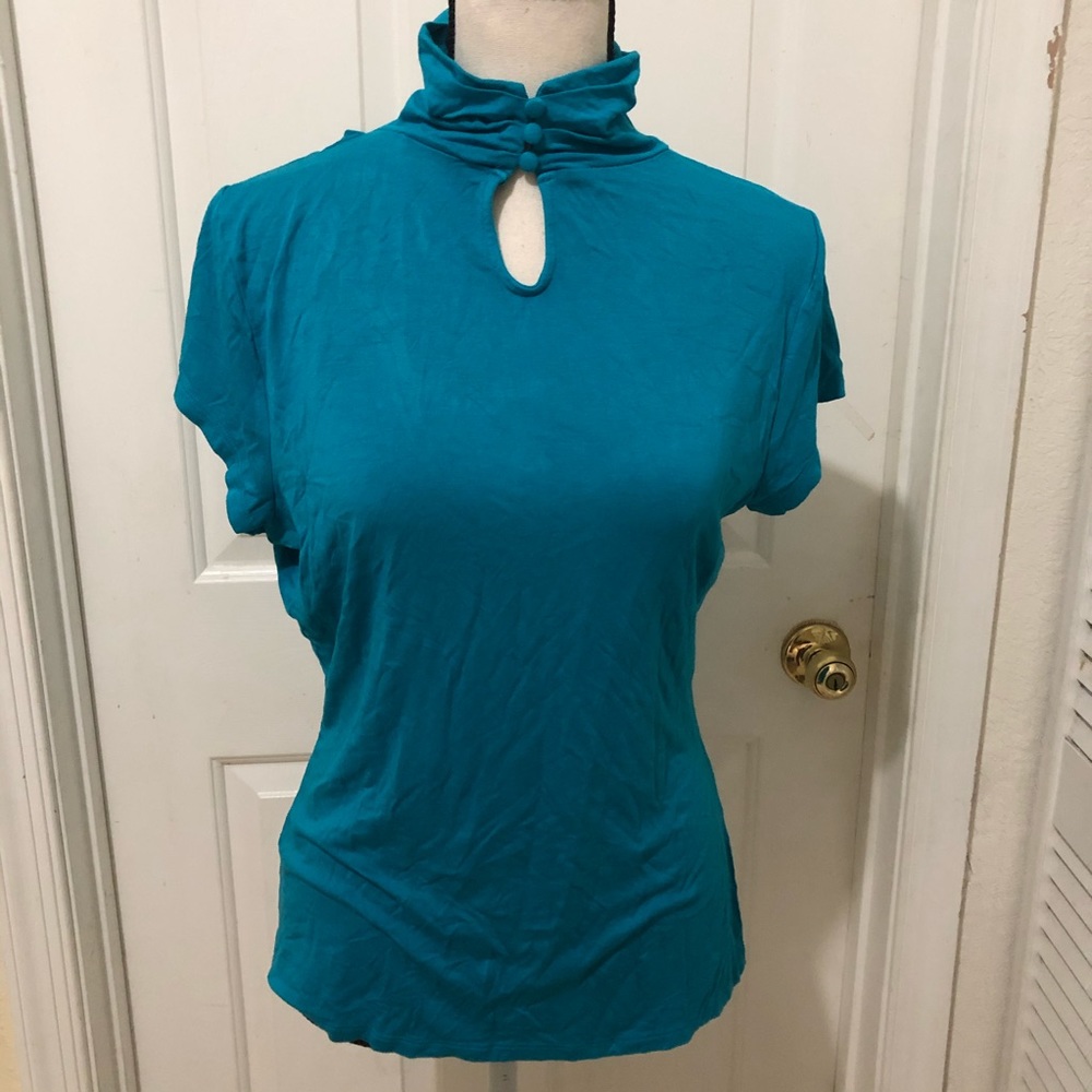 The Limited Blue Turtle Neck Blouse